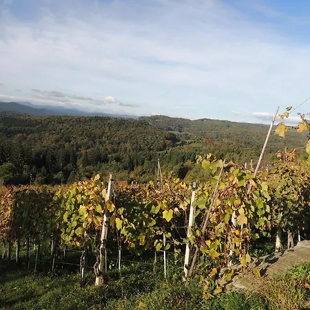 度假居 Vineyard Lisec Relaxation Trebnje