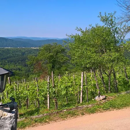 度假居 Vineyard Lisec Relaxation Trebnje